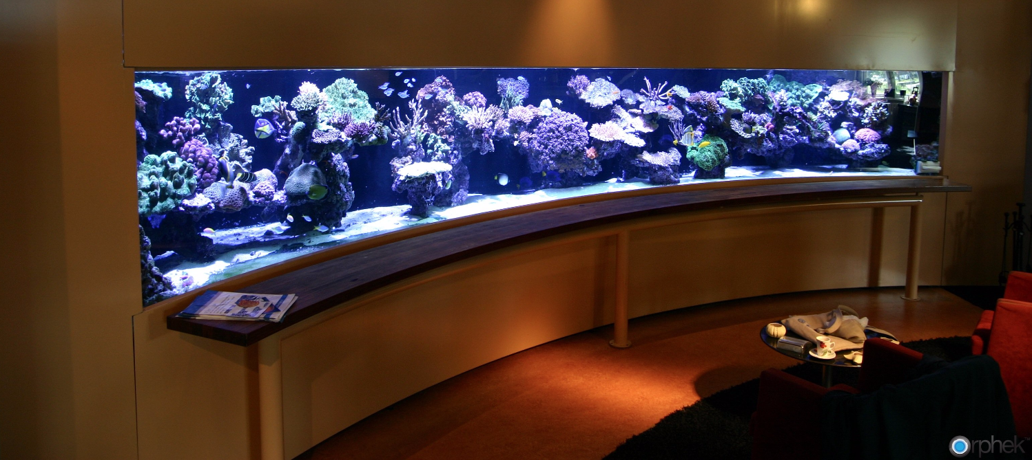 Huge Range of Products Brisbane Aquarium Services in Brisbane